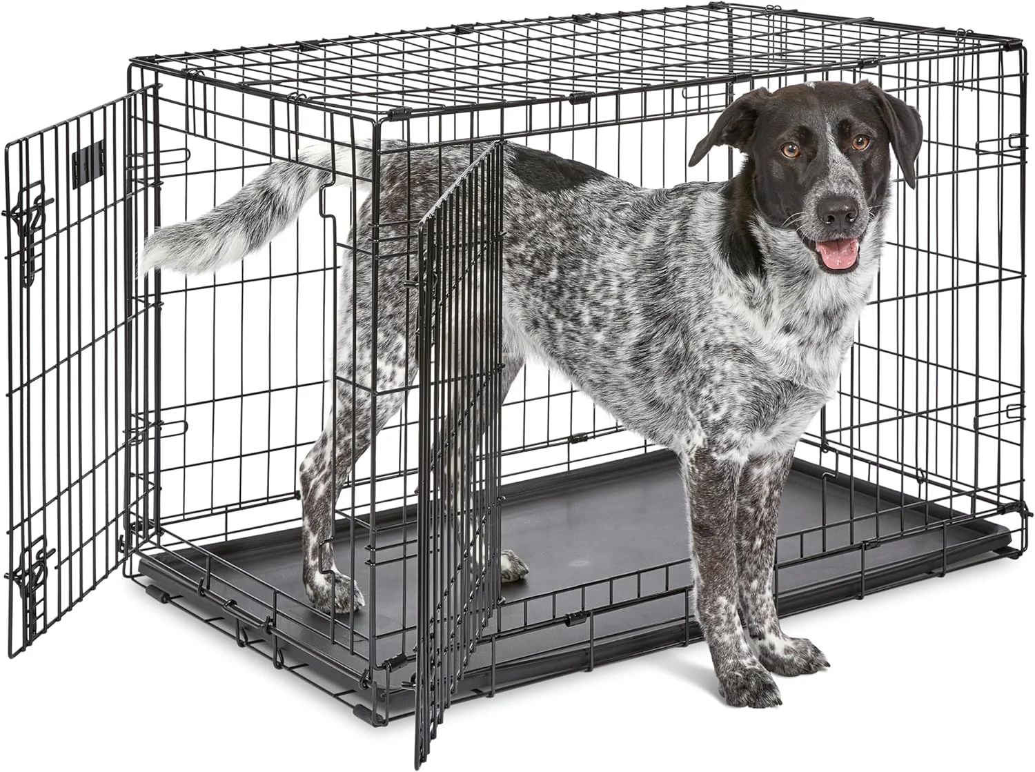 Discover Comfort and Security with the MidWest Homes for Pets 36-Inch iCrate for Medium-Large Breeds